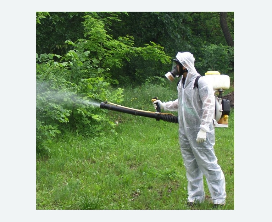 обработка территории от клещей в Стромыни