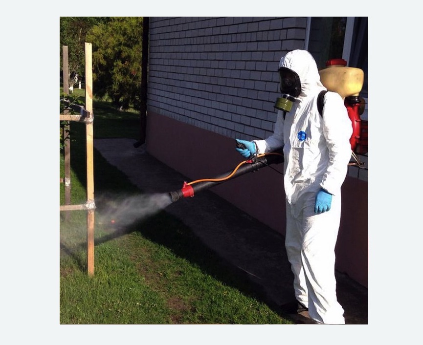 травля клещей на участке в Стромыни