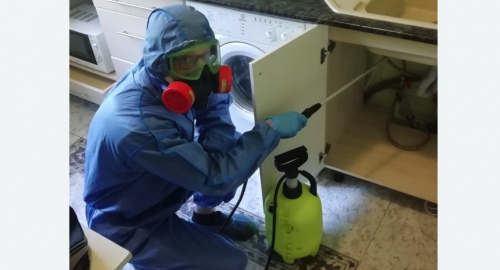 Уничтожение муравьев в квартире. Стромынь