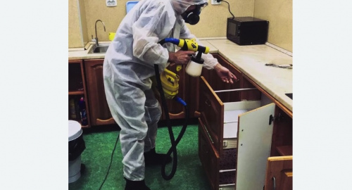 Дезинсекция квартиры. Стромынь