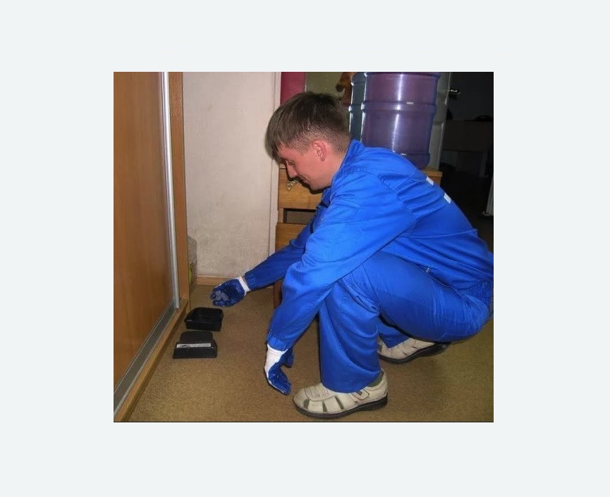 Дератизация крыс в Стромыни