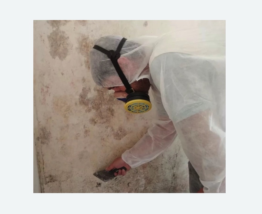 Обработка стен от плесени в Стромыни