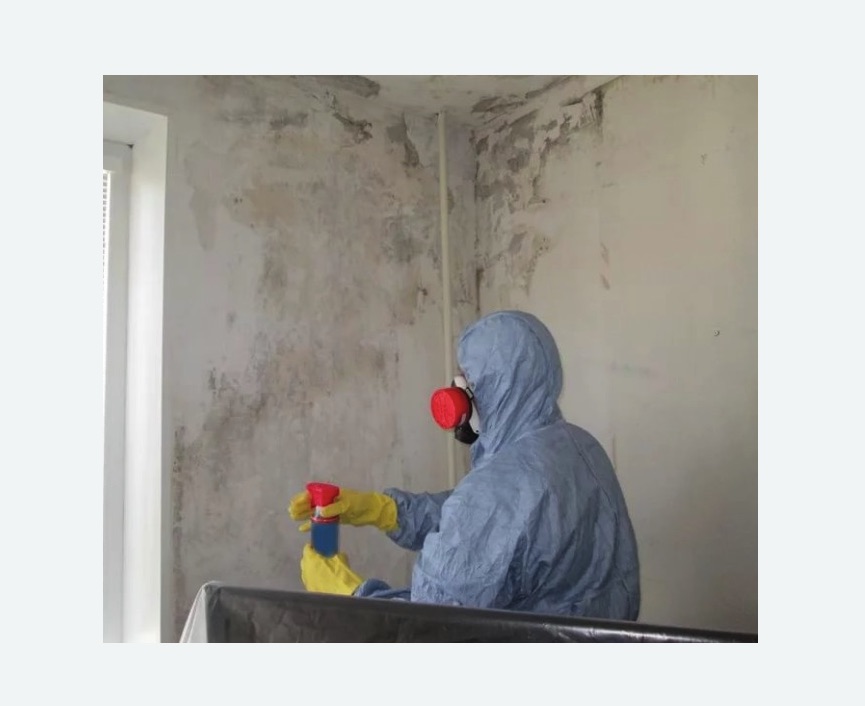 Удаление плесени в квартире в Стромыни