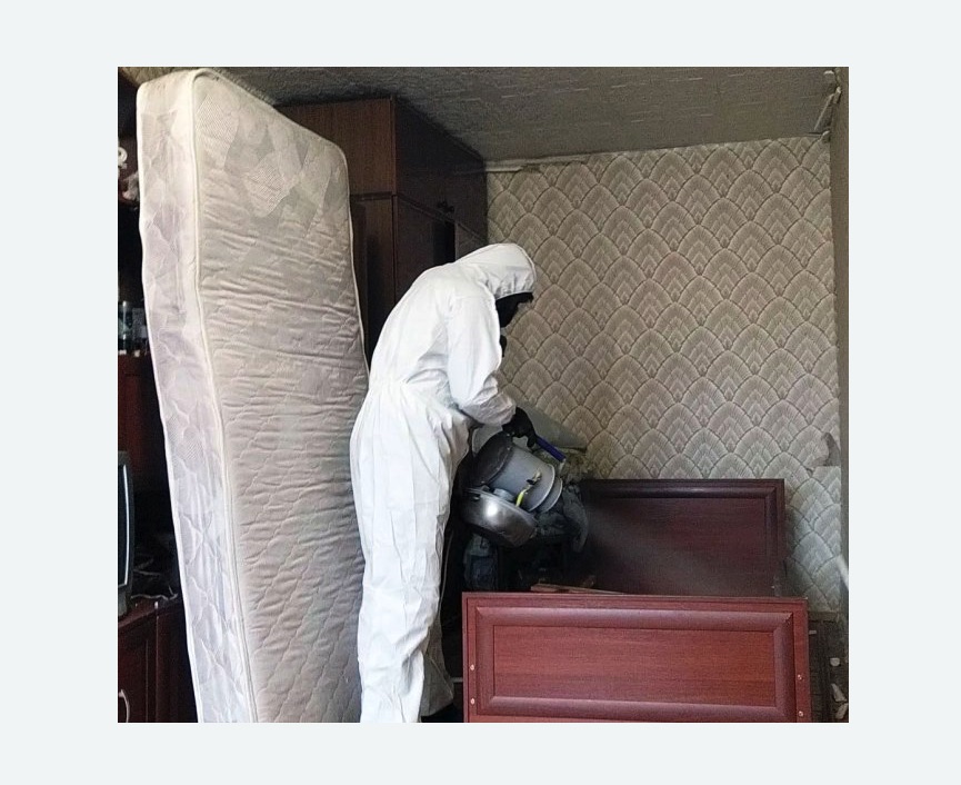 дезинфекция от клопов в Стромыни