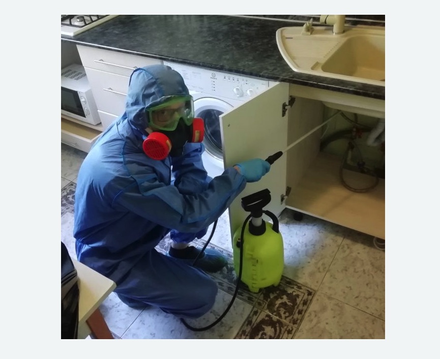 обработка от муравьев в квартире в Стромыни