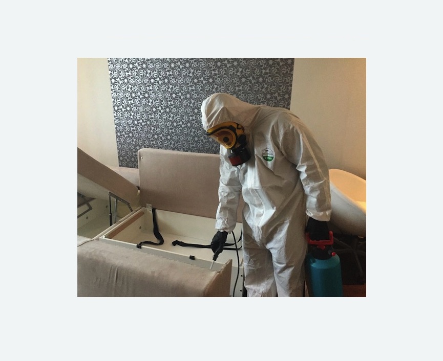 уничтожение клопов в квартире в Стромыни