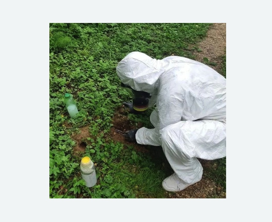 уничтожение кротов на участке в Стромыни