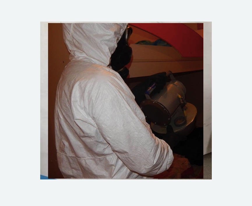 Дезинфекция от муравьев в Стромыни