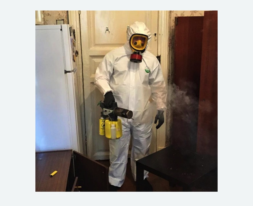 уничтожение муравьев в квартире в Стромыни